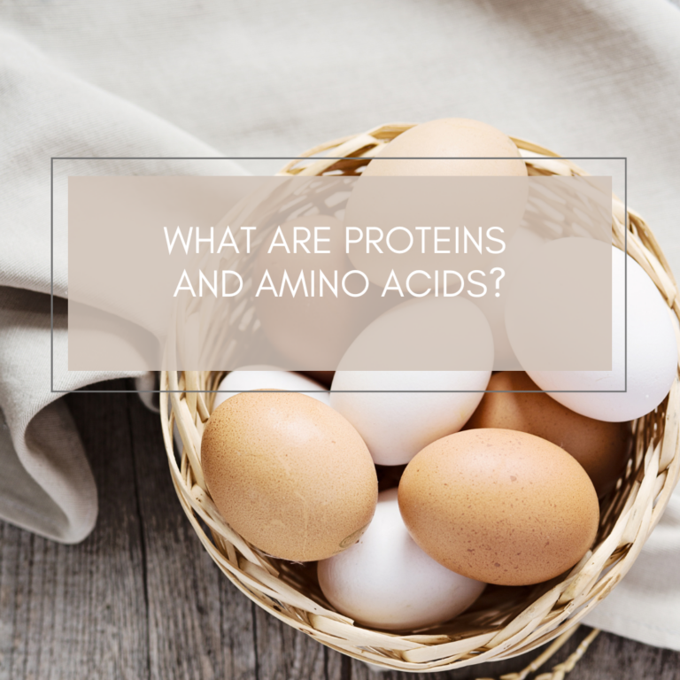 What are proteins and amino acids?