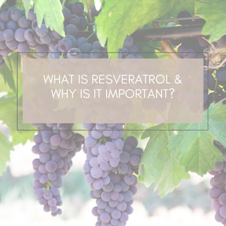 Resveratrol for skin health