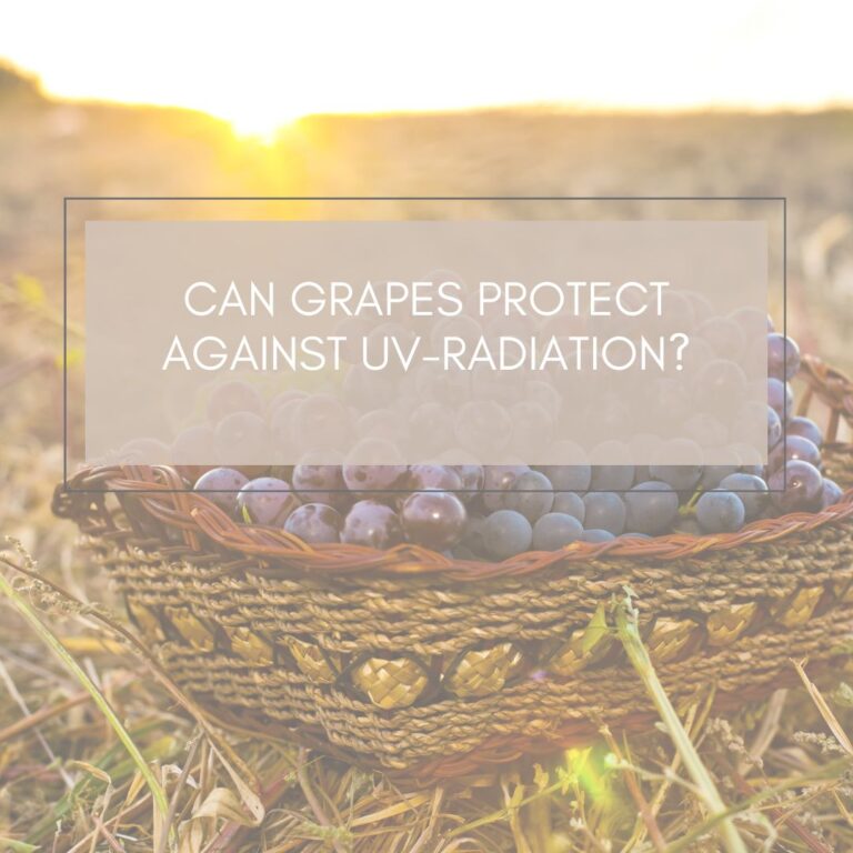 Grapes protect against UV-radiation