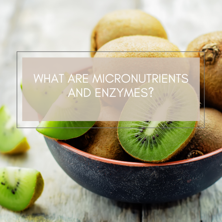  What are micronutrients and enzymes?