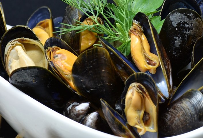 Mussels